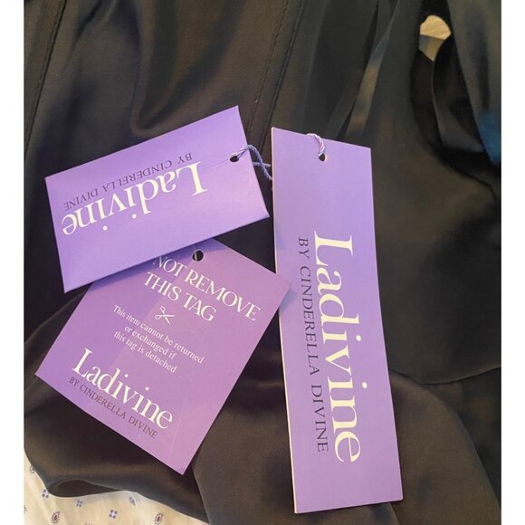 Ladivine by Cinderella Divine Corset Satin Whimsigoth Formal Dress Sz 12 NWT - Picture 4 of 16